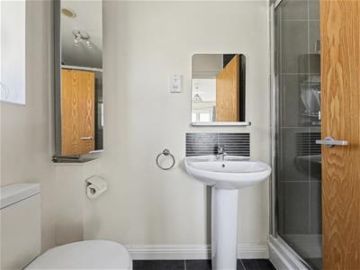 Picture 15